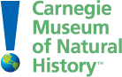 carnegie museum of natural history