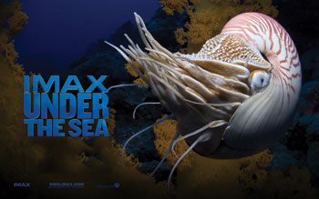 imax under the sea