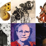 6 museum objects