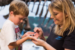 November 17: Natural History Open House