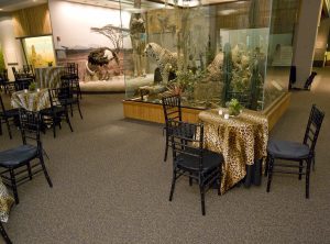 Great Events at Carnegie Museums