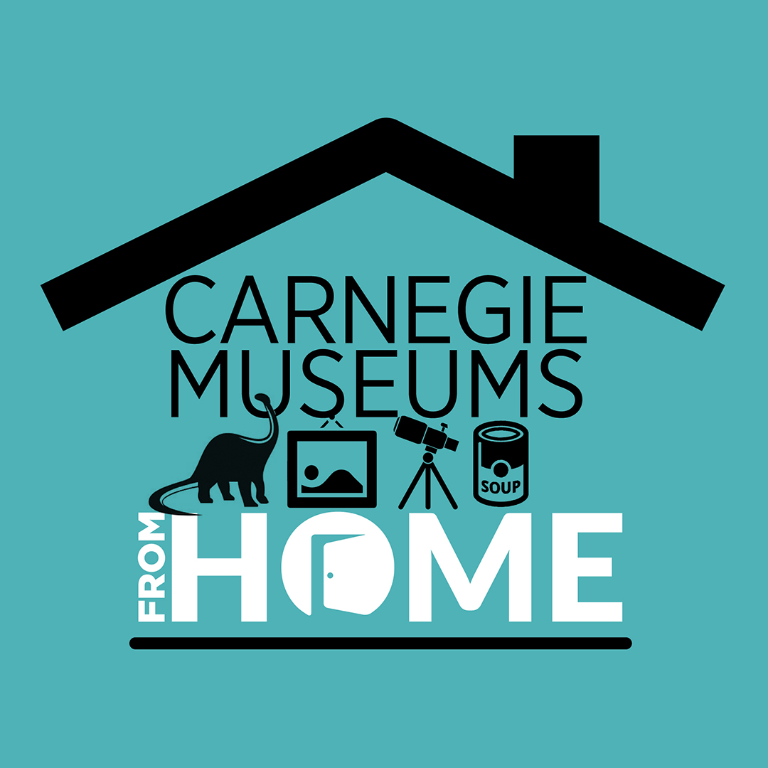 Carnegie Museums from Home