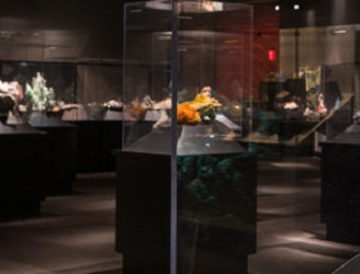 February 9: Member Tour - Gems and Minerals