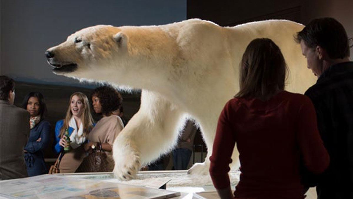 A polar bear model stands prominently on display, surrounded by a captivated audience in a museum setting.