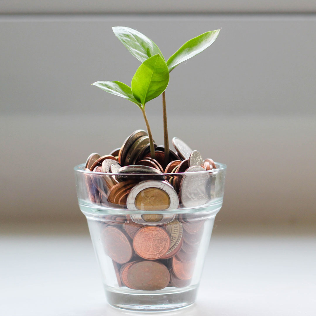 A small plant growing out of a glass of coins