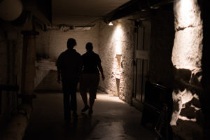 Scenes from DODO