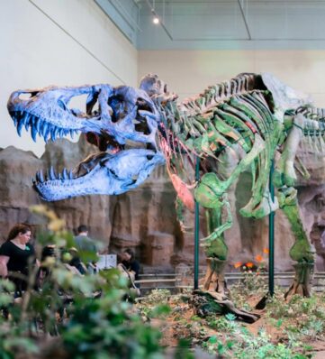 A T. rex lit up with colorful lights