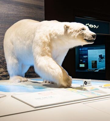 a polar bear on display in a museum setting