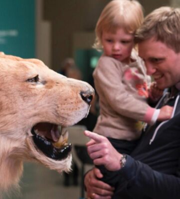 A taxidermied lion's head is shown closely alongside a person holding a child, with a blurred background of an indoor setting.