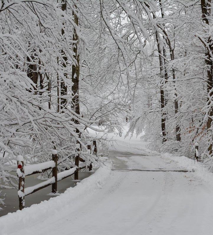 A snowy path winding through a forest, lined with snow-covered trees and a wooden fence, creating a serene winter scene.