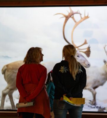 Two people and a child observe a large diorama of a reindeer in a nature exhibit.