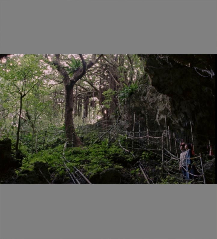 A walkway in the forest made of poles and rope.