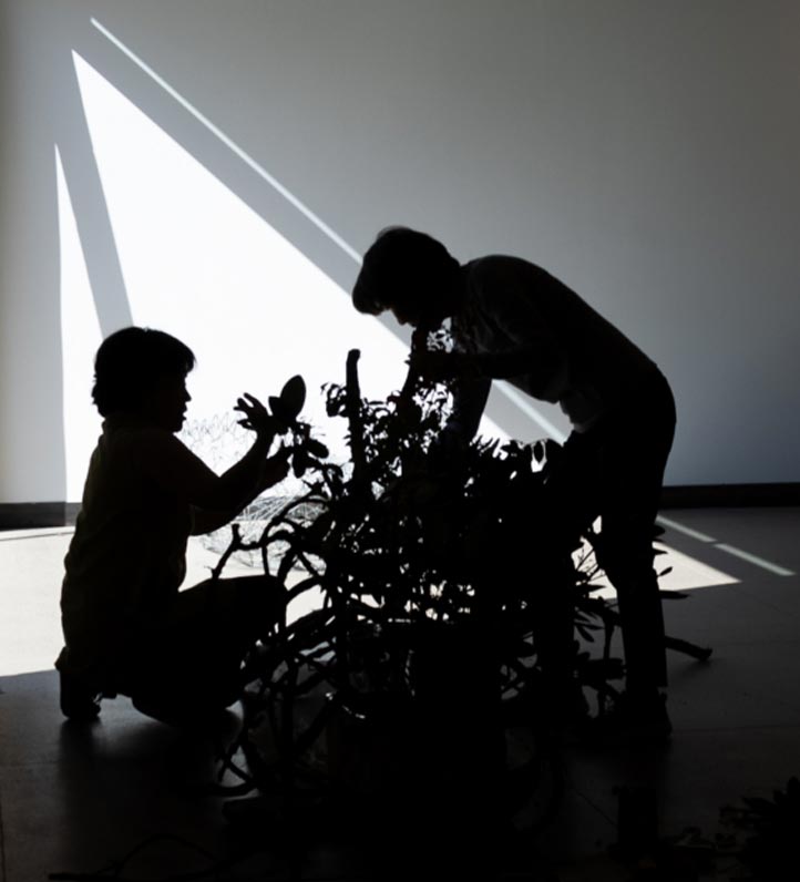 people installing a ikebana installation