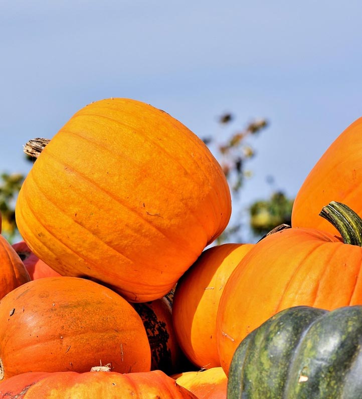 bright orange and green pumpkins piled up against a blue sky.