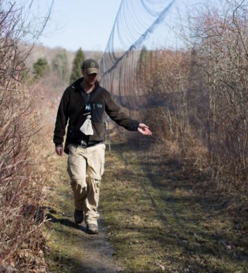 A scientist checking the bird banding nets.