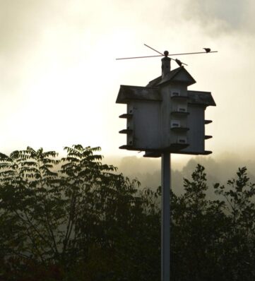 a birdhouse above a foggy pond.