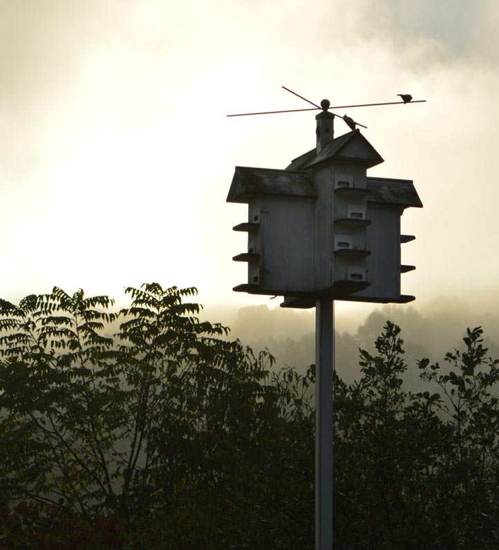 a birdhouse above a foggy pond.