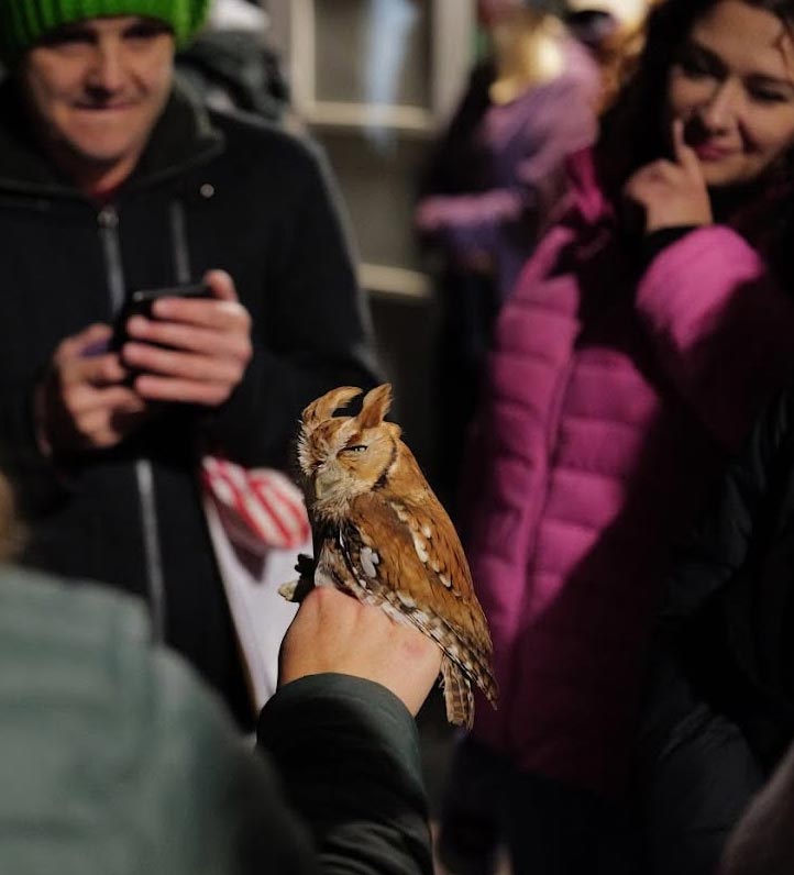 an owl being show to a couple wearing winter coats