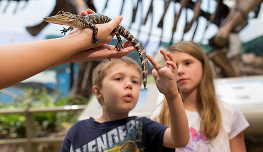 Ticketing-Live Animal Encounter - Carnegie Museums of Pittsburgh