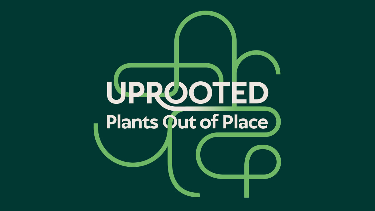 Graphic featuring the title "Uprooted: Plants Out of Place" with a green and white abstract line design on a dark background.