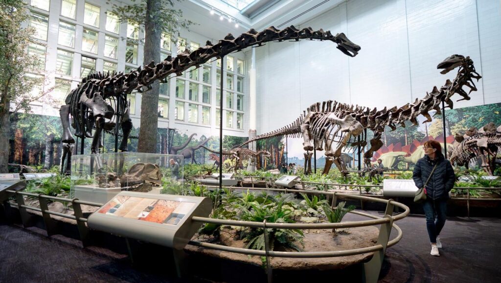 Carnegie Museum of Natural History - Carnegie Museums of Pittsburgh