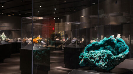 Carnegie Museum of Natural History - Carnegie Museums of Pittsburgh