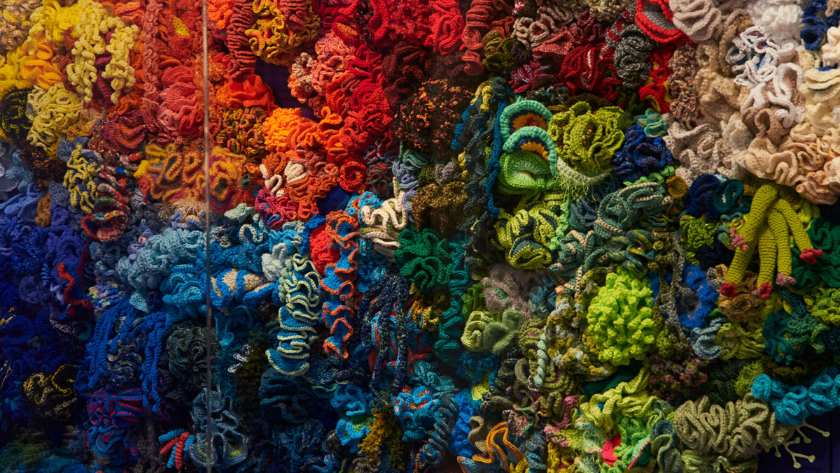 a wall of colorfully knitted yarn