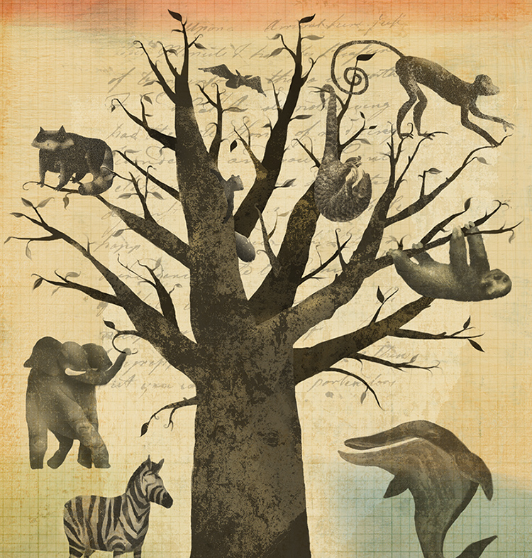 animals on the tree of life