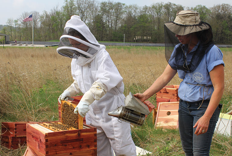 Two bee keepers populating a colony of bees at the FLight 93 National Memorial site..