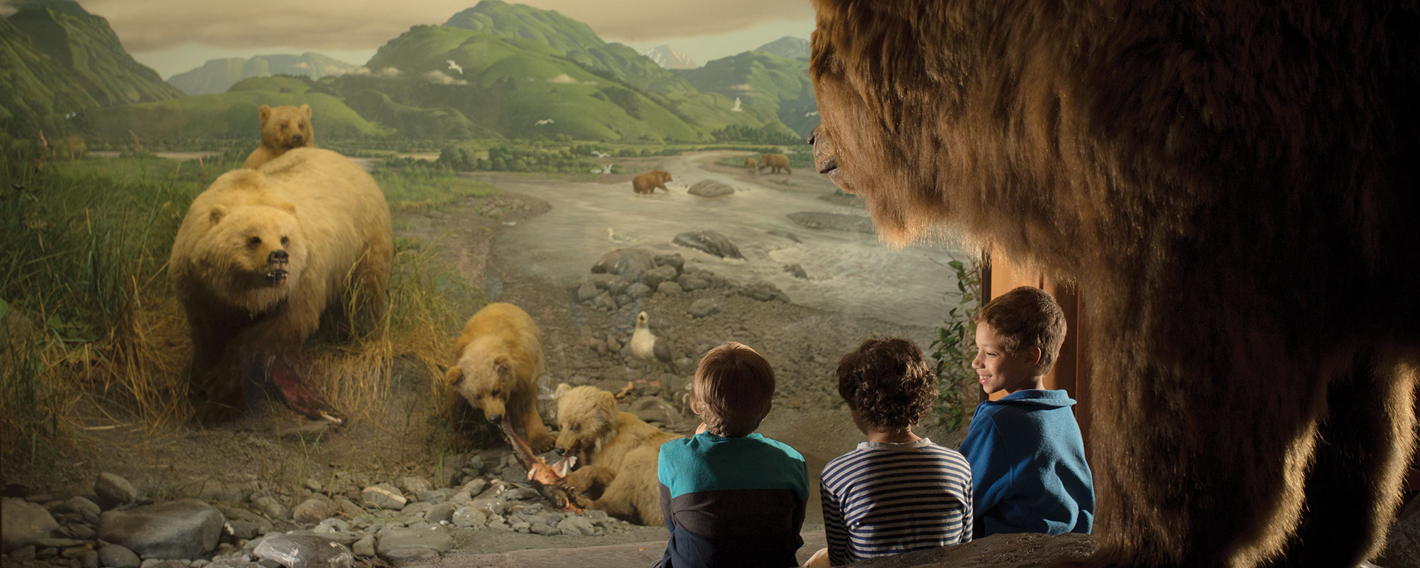 Young boys looking at a diorama of Alaskan brown bears