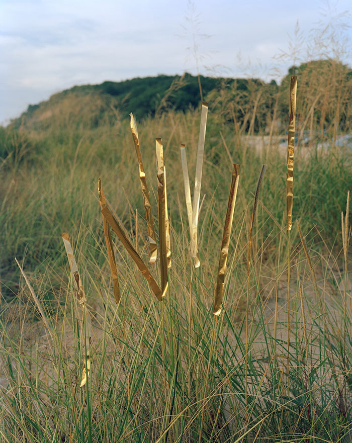 GOld metallic strips set up in a field of tall grass.