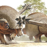 AN artistss rendering of two glyptodonts fighting.