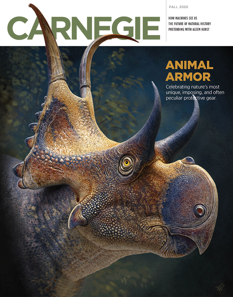 Fall 2020 Carnegie Magazine cover