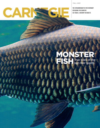 Fall 2021 cover of Carnegie magazine