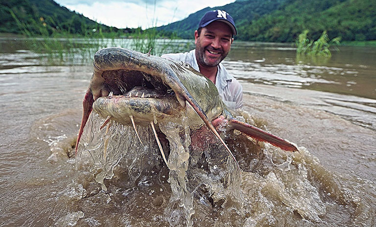 A man standing in a river, holding a large catfish