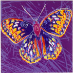 A colorful painting of a SanFrancisco Silverspot butterfly