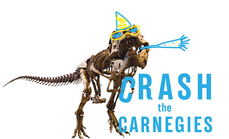 Crash the Carnegies