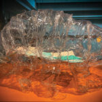 a transparent figure of a tardigrade