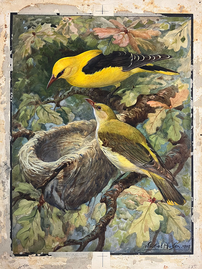 Painting of two colorful, yellow, birds, standing on branches around a nest.