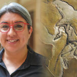 A woman next to a photo of a fossil.
