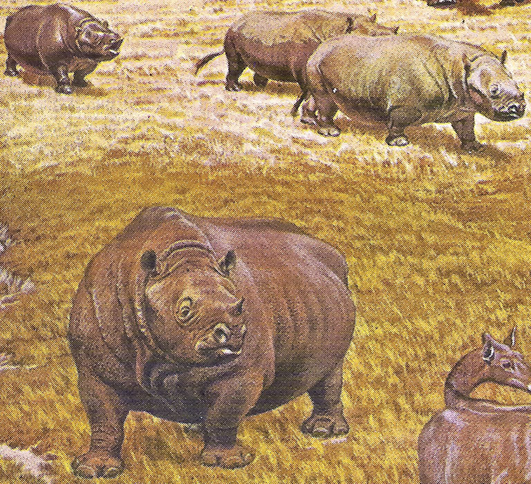 Illustration of ancient, bulky, rhino-like mammals grazing on a grassy plain. The scene conveys a prehistoric, peaceful atmosphere.