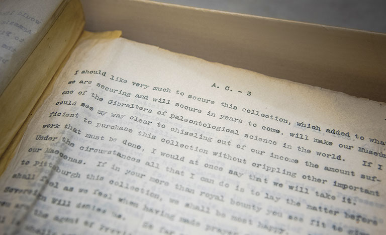 Close-up of aged manuscript pages with typed text discussing the importance of securing a paleontological collection for a museum.