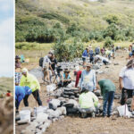 A group of people work together outdoors, carefully arranging stones on the ground under a sunny sky, amidst lush greenery.