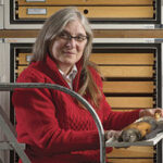 A woman in a red sweater sits on a ladder, holding a tray with preserved birds in a museum storage room lined with wooden drawers, exuding a scholarly ambiance.