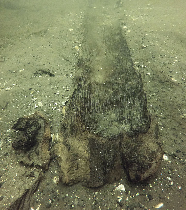 Underwater view of a weathered wooden beam or tree trunk lying on a murky, shell-strewn seabed, creating an eerie, aged atmosphere.