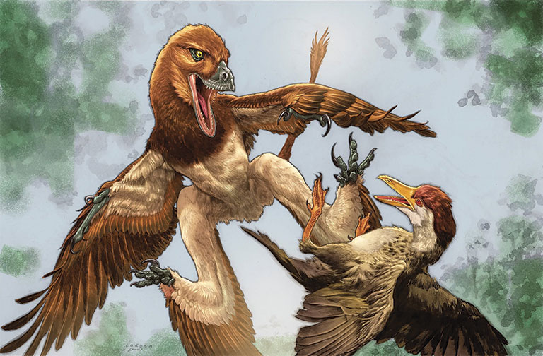 Illustration of feathered prehistoric dinosaurs battling midair: a large brown predator lunges at smaller birds, wings spread amid green foliage.