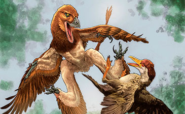 Illustration of feathered prehistoric dinosaurs battling midair: a large brown predator lunges at smaller birds, wings spread amid green foliage.