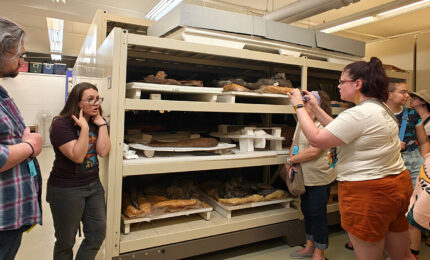 Visitors examine shelves of breads and pastries in a bakery display rack, while a woman photographs the baked goods in a busy, curious scene.