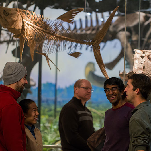 A group of visitors observes a large fish fossil suspended in a museum, with a vibrant natural background behind them.