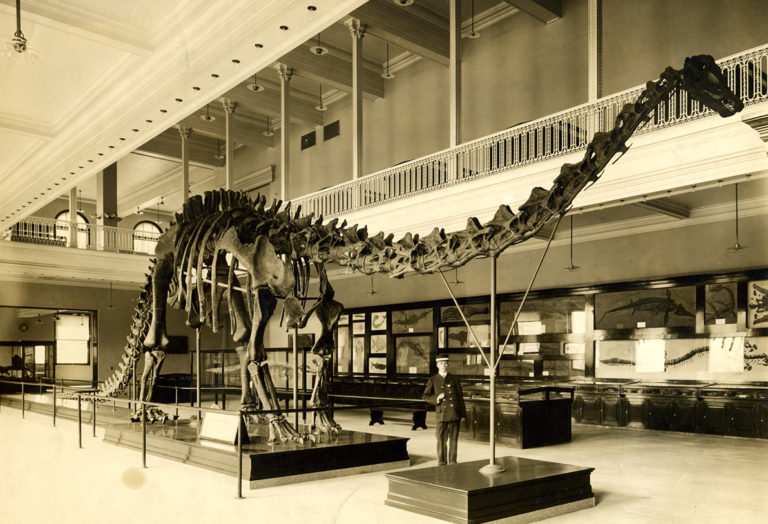 A historic photo of the original dinosaur hall